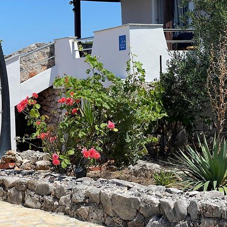 Holiday House Rusticana Sali, Dugi Otok Near Np Kornati Extérieur photo